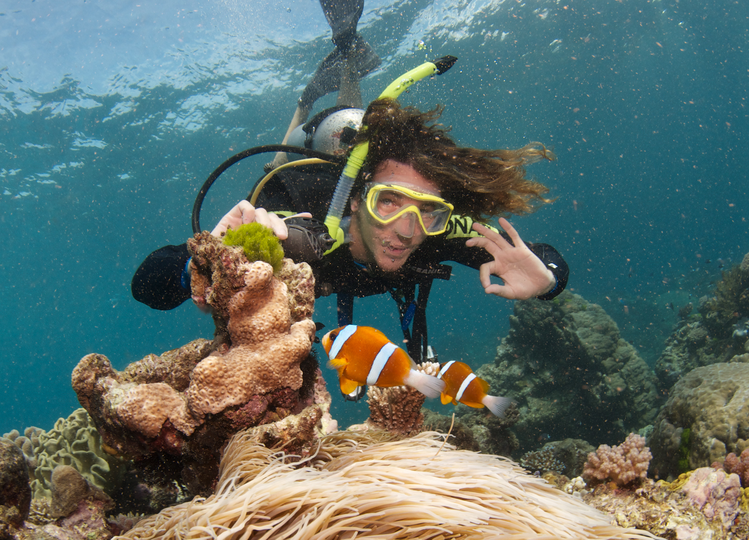 roddel Hubert Hudson geef de bloem water Hitting The Water Scuba Diving On The Great Barrier Reef, Cairns |  Backpacker Banter