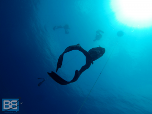 free dive courses asia