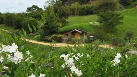 hobbiton tour kiwi experience tinggly voucher new zealand backpacker movie tour lord of the rings-8