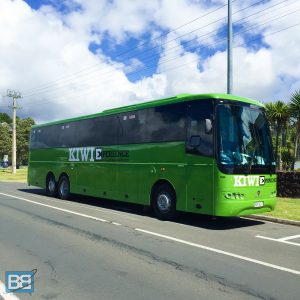 kiwi experience bus pass travel review new zealand backpacker 