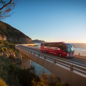 greyhound bus pass route map australia hop on hop off backpacker east coast