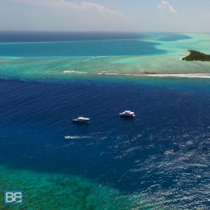 thulusdhoo maldives budget local island guide surf surfing cokes